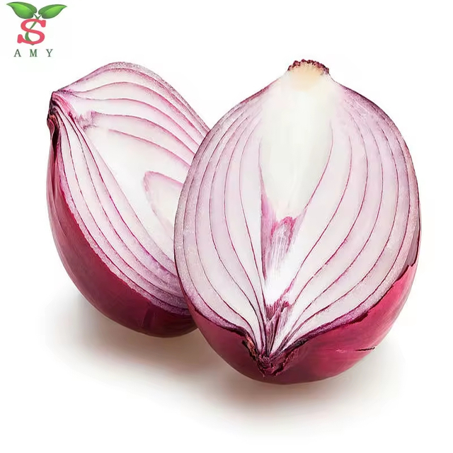 البصل