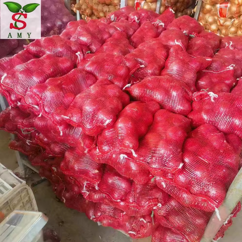 البصل
